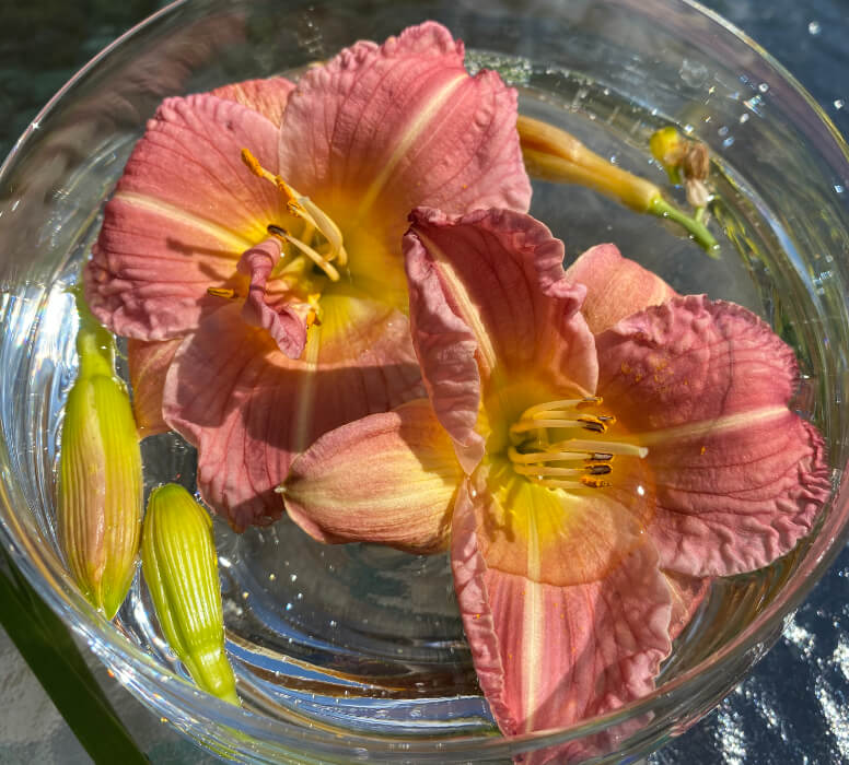 Two lily flowers floating in a glass of water